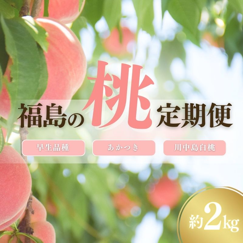 【ふるさと納税】No.2967中野/佐藤果樹園 福島の桃3種定期便 各約2kg【2025年発送】