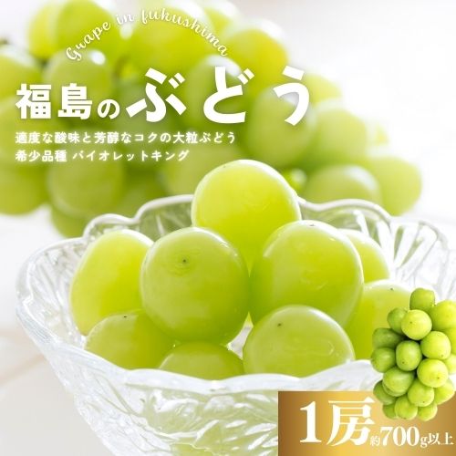 【ふるさと納税】No.3019 ぶどう 希少品種 バイオレットキング 1房(約700g以上)