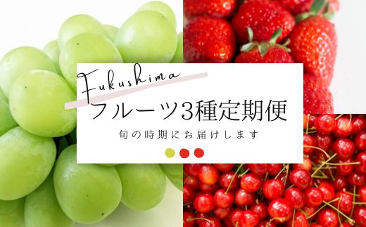 No.2277フルーツ3種定期便 シャインマスカット/いちご/さくらんぼ[2025年〜2026年発送]
