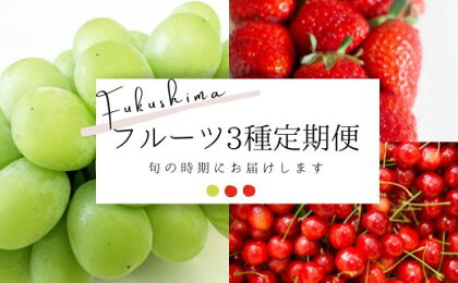 No.2277フルーツ3種定期便 シャインマスカット/いちご/さくらんぼ【2024年～2025年発送】年～2024年発送】