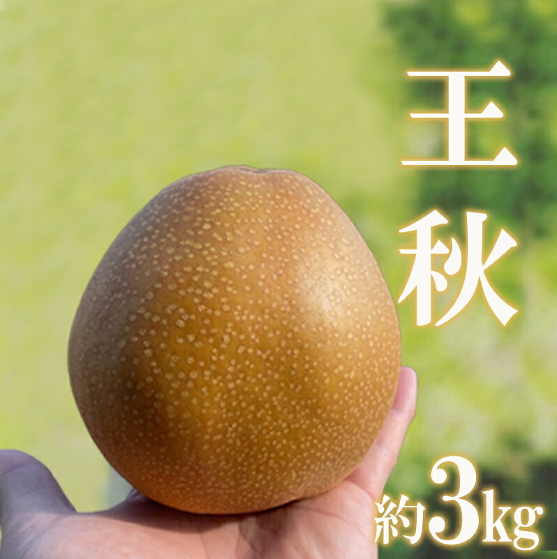 【ふるさと納税】No.2735旬の特選梨 王秋 約3kg【2