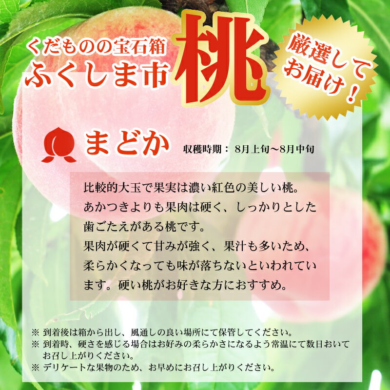 【ふるさと納税】No.2435桃 まどか 約1kg【2024年発送】※8月上旬～8月中旬頃まで順次発送予定 先行予約 1万円以下 もも モモ フルーツ くだもの 福島市 特秀 人気 返礼品 お取り寄せ 福島県産 菅野房吉商店