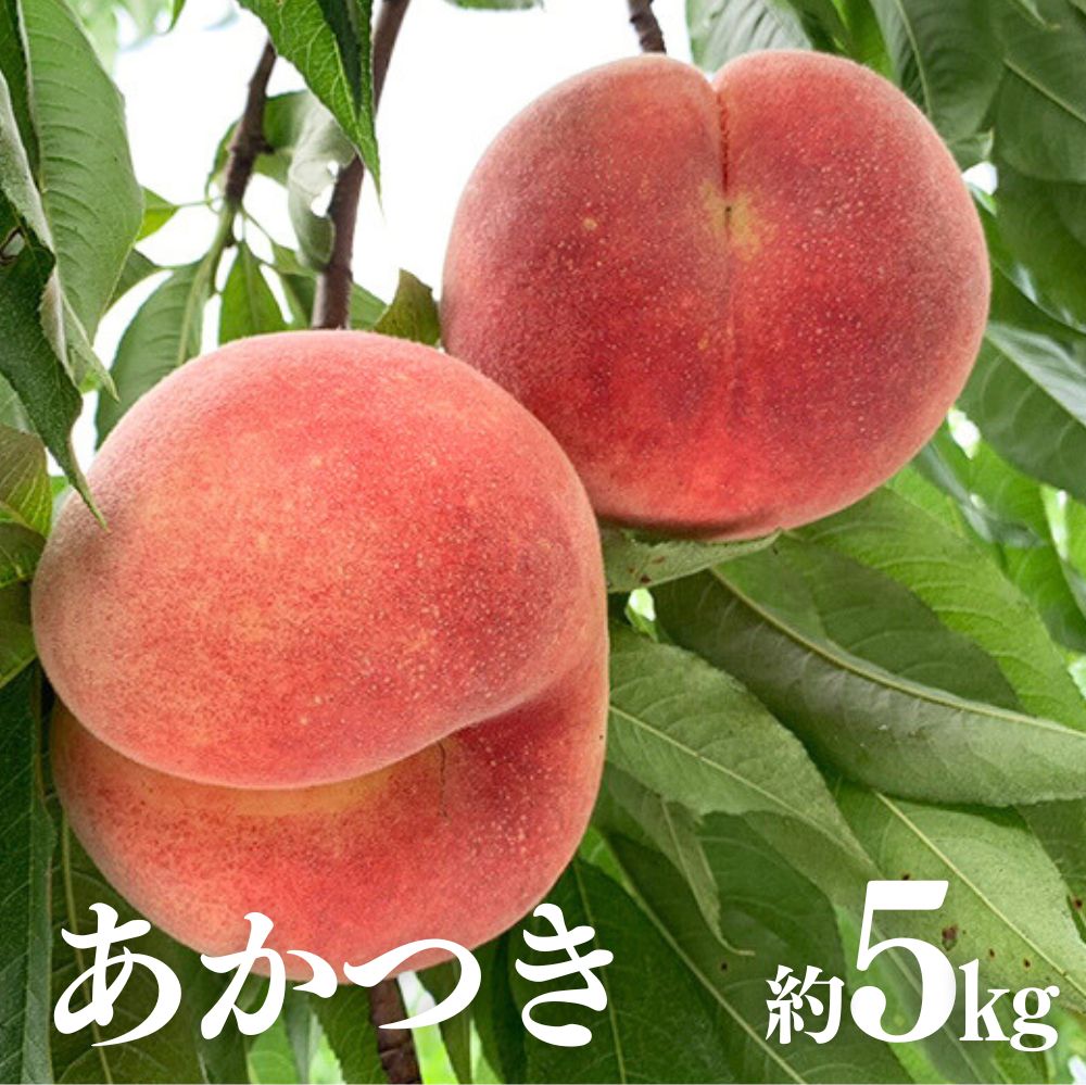 【ふるさと納税】No.1588もも（あかつき）約5kg【2025年発送　先行予約】