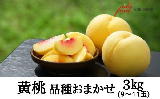 【ふるさと納税】No.2303黄桃　品種お任せ約3kg【20
