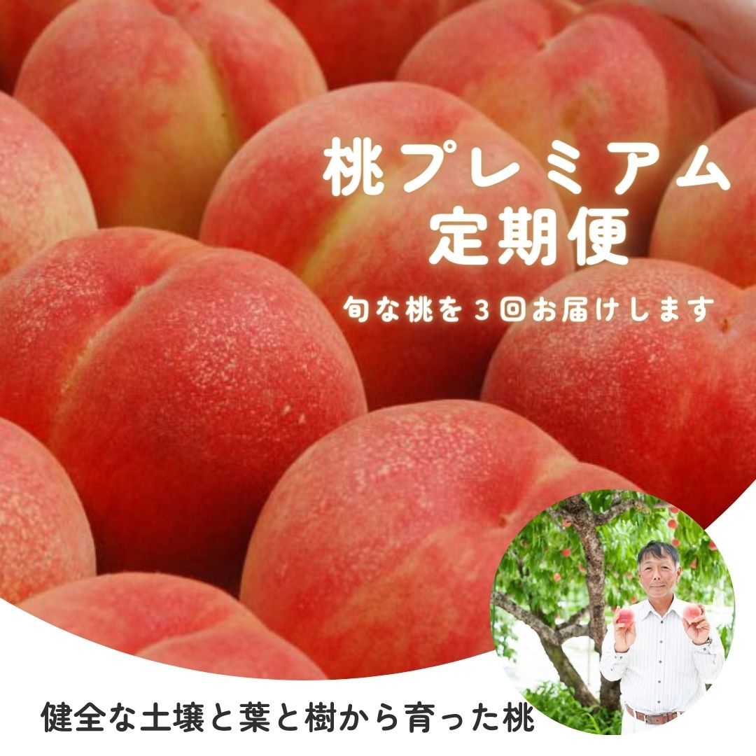 【ふるさと納税】No.1537【全3回】桃プレミアム定期便【2024年発送】のサムネイル