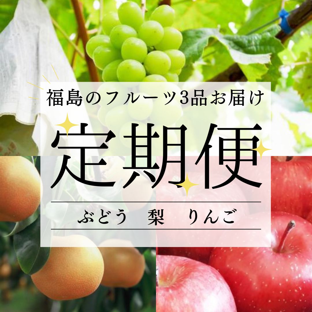 【ふるさと納税】No.1643フルーツ3品定期便 シャインマ