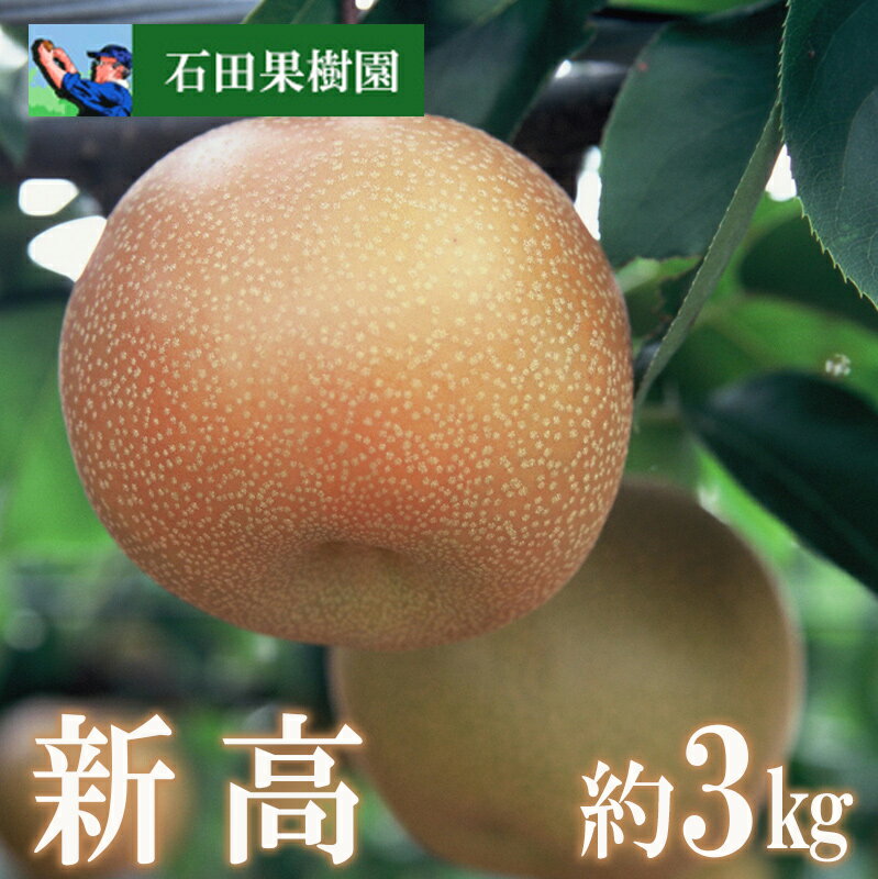 【ふるさと納税】No.2738梨　新高　3kg【2024年発送】のサムネイル