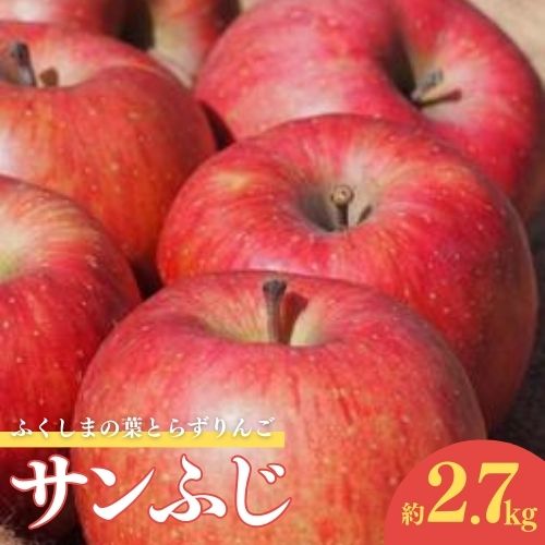 【ふるさと納税】No.1924ふくしまの葉取らずサンふじ 贈答用　2.7kg【2024年度発送】