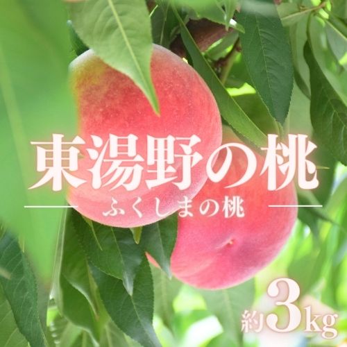 東湯野は福島盆地の北のはじ、伊達市、桑折町との境にあります。 この地は、元々土壌改良材にも使用される「ゼオライト」と呼ばれる鉱物を豊富に含んでいます。 気候と土が美味しさの秘密です。 特級品のみを箱に詰めました。（黒色化粧箱入り） ※桃は、輸送時の痛みを防ぐため、硬めの状態で発送いたします。お受け取り直後は、まだ果実が硬い場合がございます。 　・冷蔵便の場合、箱から出してしっかり水滴をふき取り、風通しの良い日陰に常温保管すると徐々に柔らかくなります。 　・桃の品種によって、色の違いや、追熟の度合いも異なります。 ※天候等により生育に影響が出る場合、発送予定日が1週間程度前後する場合がございます。 ※天候不順や自然災害等で、色づきや糖度、サイズに影響が出る場合がございます。万が一、発送が困難になった場合は、代替品をお届けいたします。 ※天候や生育状況により日々の収穫量が変わるため、発送予定日の事前連絡は出来ません。 ※玉数・品種をご指定頂く事は出来ません。（玉数・品種指定品を除く） ※画像はイメージです。梱包や詰め方などは、発送事業者により多少異なります。 ※返礼品を発送する際に、自治体からの案内が同封される事がございます。 ※沖縄・離島への発送は出来ません。 ※同日に複数個口お申込みいただきましても、出荷日が異なる場合があります。 【配送先変更・不在連絡について】 ※配送情報に変更が生じた場合（お引越しや長期不在等）のご連絡は、発送開始時期の2週間前までにご連絡ください。発送直前にご連絡をいただいても、変更を承る事ができません。連絡が遅れたことにより配送品の転送を希望する場合は、お客様ご自身で配送会社へご連絡いただくことになります。（送料は受取人様ご負担） 【返礼品受取時】 ※生鮮品の為、賞味期限に関わらず、なるべくお早めにお召し上がりください。（果物により追熟を要する場合あり） ※到着後すぐに状態をご確認ください。梱包発送時は万全を期しておりますが、稀に輸送中の揺れや温度管理等により傷みが生じる場合がございます。痛み等があった場合は、発送日を含んで4日以内にご連絡ください。ご連絡いただく際は、必ず全体と傷みの箇所を撮影ください。また連絡前に廃棄されますと、対応出来なくなる場合もございます。 ※以下の場合は、再発送はいたしかねます。 ・事前にお申し出のない転居や不在等により配送会社にて再配達ができなかった場合 ・受取人様の都合により、日数が経ってからお受け取りいただいた場合 ・寄付者様と受取人様が異なった際、受取辞退などの理由で発送元に返送となった場合 ・甘さや硬さなど、個人の感覚を理由とする場合 ・ふるさと納税よくある質問はこちら ・寄付申込みのキャンセル、返礼品の変更・返品はできません。 あらかじめご了承ください。　 入金確認後、注文内容確認画面の【注文者情報】に記載の住所にお送りいたします。 発送の時期は、寄付確認後10日以内を目途に、お礼の特産品とは別にお送りいたします。 商品説明 名称 No.2294特選福島・東湯野のもも約3kg【2024年発送】 内容量 約3kg 賞味期限 発送日+3日程度※生もの(果物)ですので、できるだけお早めにお召し上がり下さい。 発送期間 2024年8月中旬から2024年8月下旬発送予定 発送種別 通常便 アレルギー もも 事業者 果樹園きつない