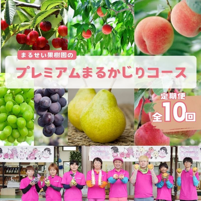 【ふるさと納税】No.2363まるせい果樹園 【...の商品画像