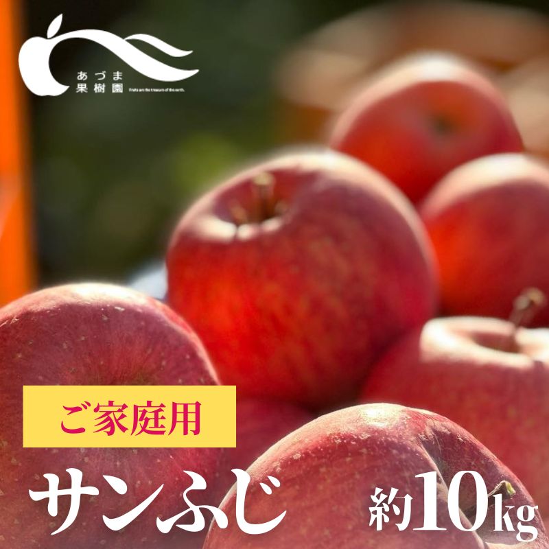 【ふるさと納税】No.0154あづま果樹園 りんご「サンふじ