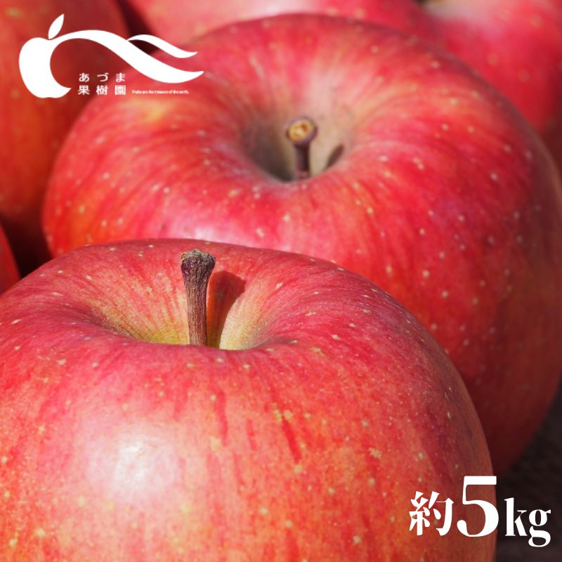 【ふるさと納税】No.0146あづま果樹園 りんご　約5kg