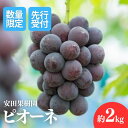 【ふるさと納税】No.1801ぶどう ピオーネ約2kg【2025年発送】