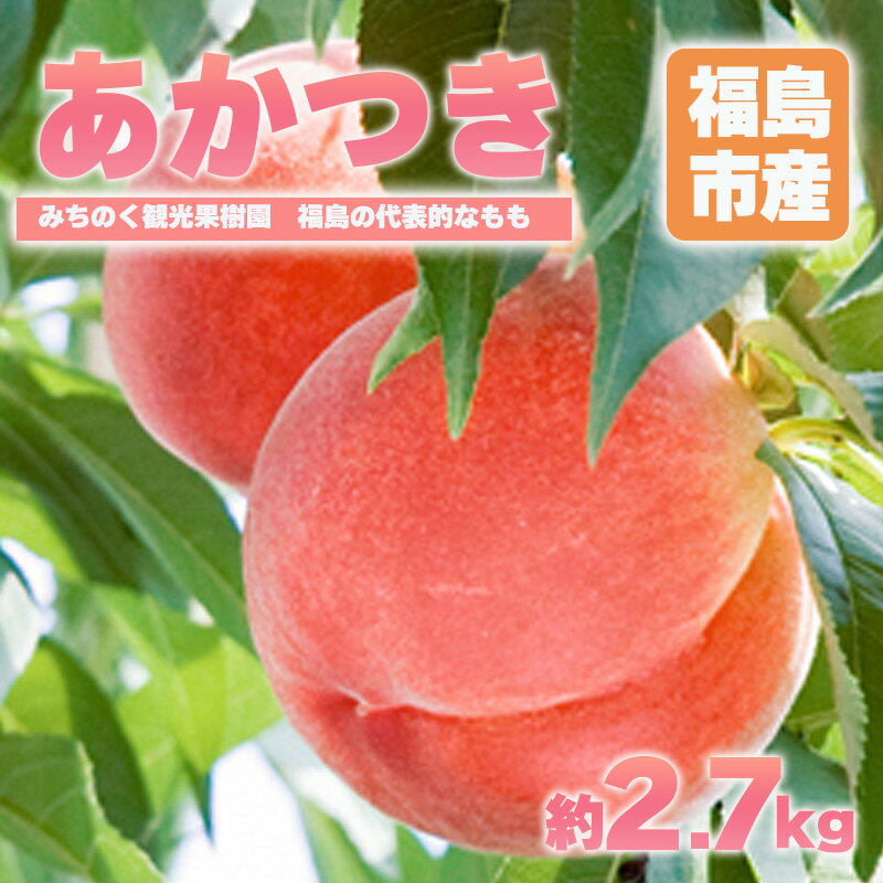 【ふるさと納税】No.2344もも「あかつき」贈答用 約2.7kg【2025年発送】