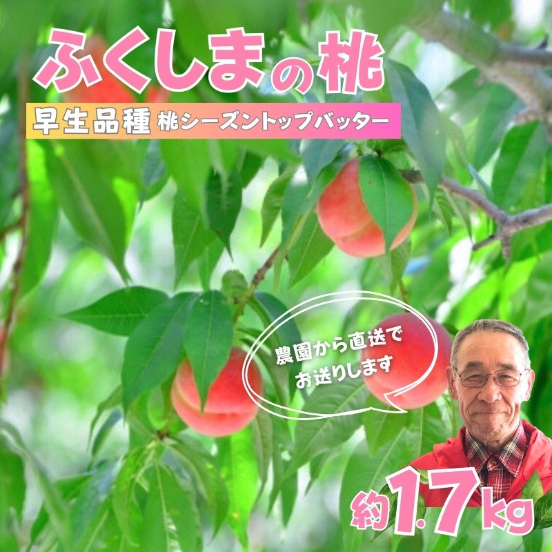 【ふるさと納税】No.2897【限定50箱】ふくしまのもも 早生品種 約1.7kg【2025年発送】