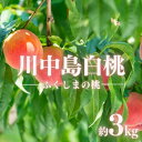 【ふるさと納税】No.2415もも「川中島白桃」 約3kg【2025年発送】 白桃 はくとう 川中島 かわなかじま フルーツ 果物 くだもの デザート 旬 桃 モモ 福島市 福島県産 2万円以下 返礼品 お取り寄せ