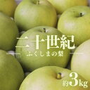 【ふるさと納税】No.1727梨 なし 二十世紀 約3kg【2025年発送】