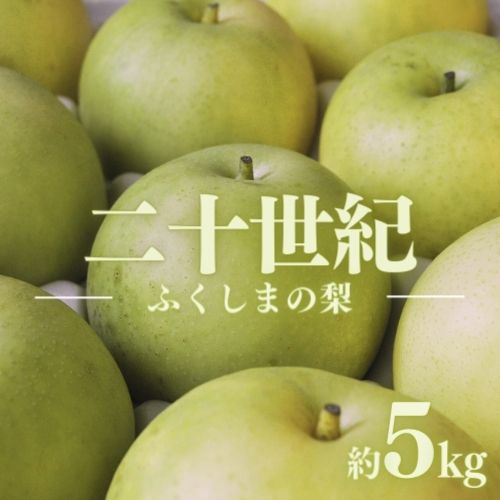 【ふるさと納税】No.1728梨 なし 二十世紀 約5kg 【2025年発送】