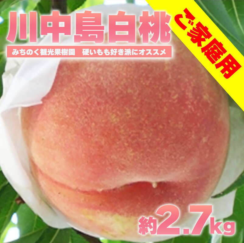 No.2986もも「川中島白桃」ご家庭用 約2.7kg[2025年発送]