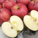 【ふるさと納税】No.2921 ふくしまの「サンふじ」約1.8kg【2025年度発送】