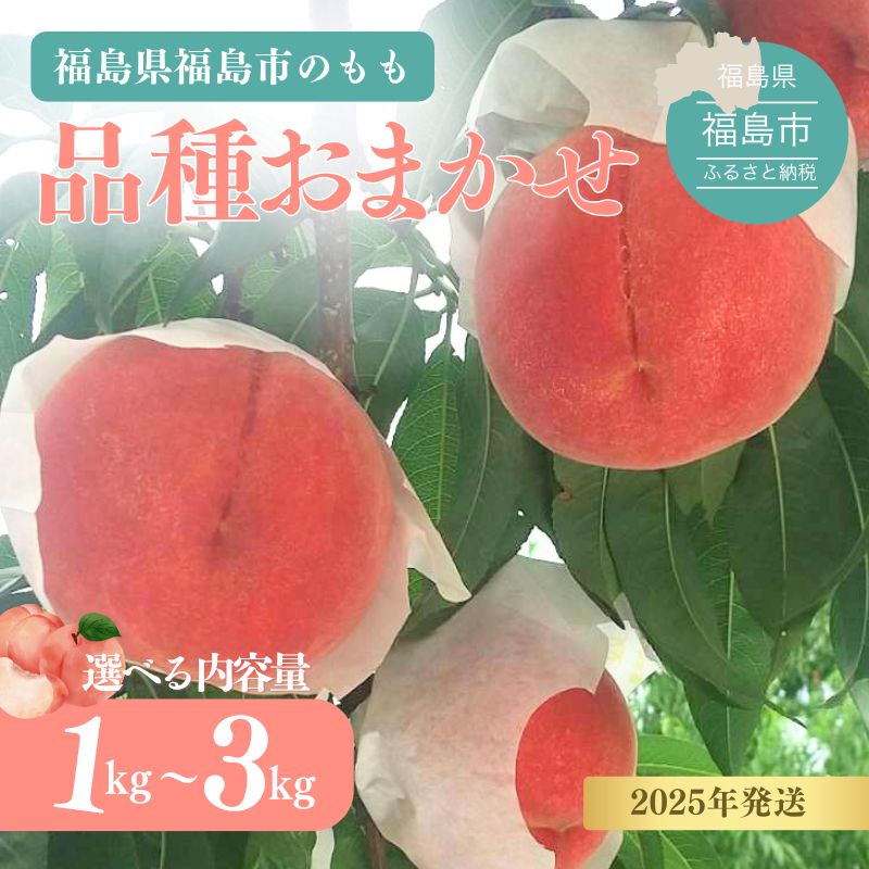 福島の桃 品種おまかせ いとう農園_平野 選べる内容量 約1kg 約2kg 約3kg[2025年発送]