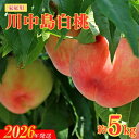 【ふるさと納税】No.2156福島のもも 家庭用川中島白桃 約5kg【2026年発送 先行予約】