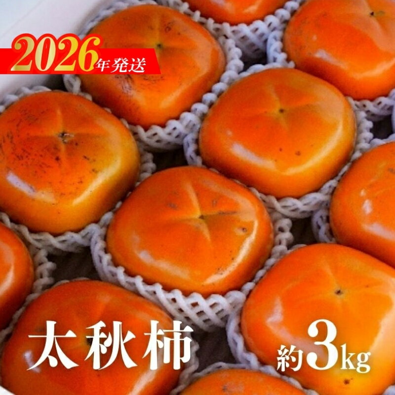 【ふるさと納税】No.2859 太秋柿　約3kg【2026年発送　先行予約】