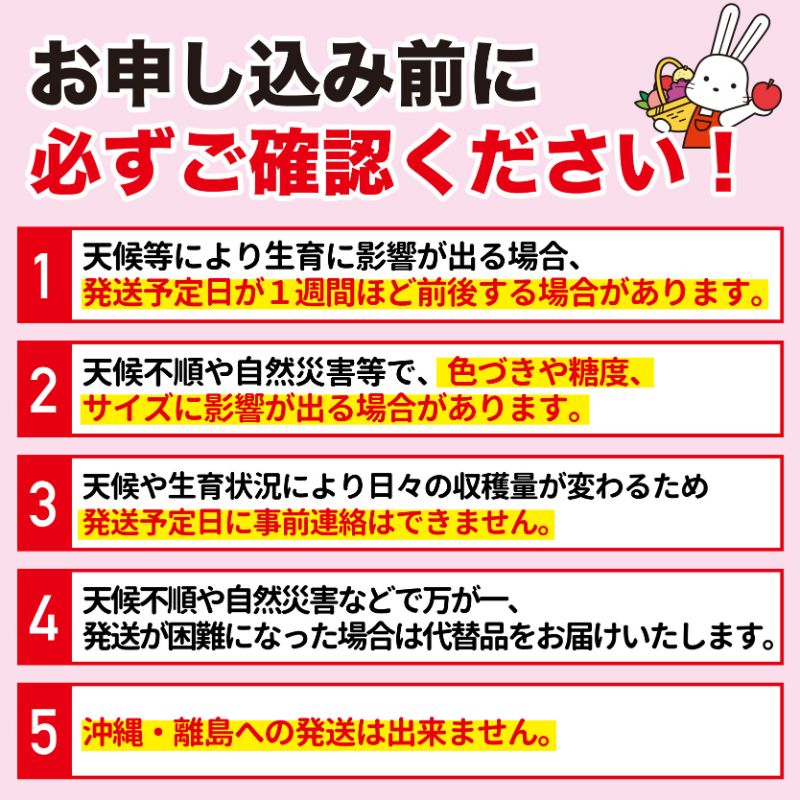 【ふるさと納税】No.2635【ご家庭用】さくらんぼ（佐藤錦）小粒　約600g（200g×3パック） 【2024年発送】