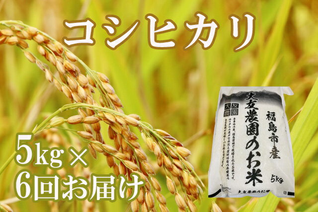 11位! 口コミ数「1件」評価「5」No.1200　大友農園　お米定期便コシヒカリ玄米　5kg×6回（全30kg）