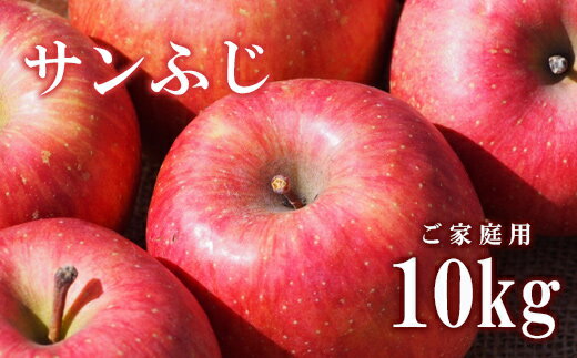 【ふるさと納税】No.1962株式会社ABE Fruit　りんご「サンふじ」家庭用 10kg【2022年度発送】