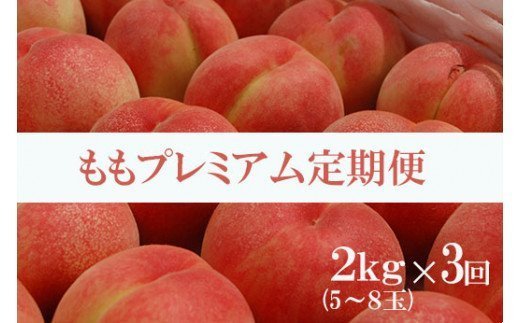 【ふるさと納税】No.1537【全3回】桃プレミアム定期便【2024年発送】