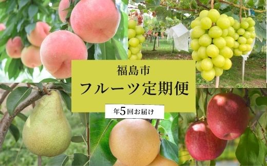 【ふるさと納税】No.2267川中島白桃から始まるフルーツ5品定期便【2024年発送】