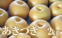 【ふるさと納税】No.1717梨 なし あきづき 約2kg 【2025年発送】