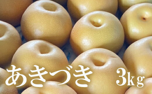 【ふるさと納税】No.1718梨 なし あきづき 約3kg 【2025年発送】