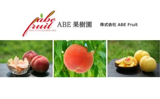 【ふるさと納税】No.1962株式会社ABE Fruit　りんご「サンふじ」家庭用 10kg【2022年度発送】