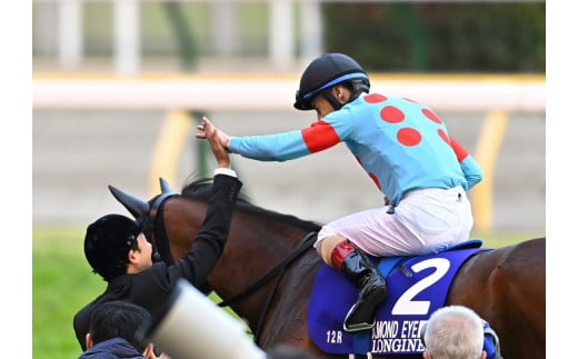 No.2010 競馬ジョッキー勝負服 タイプA