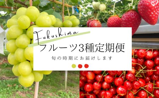 No.2122フルーツ3種定期便 シャインマスカット/いちご/さくらんぼ[2024年〜発送]