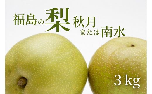 【ふるさと納税】No.2185福島の梨　秋月または南水　約3kg【2024年発送分】