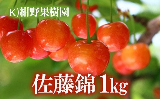 【ふるさと納税】No.2241さくらんぼ「佐藤錦」約1kg【2024年発送】