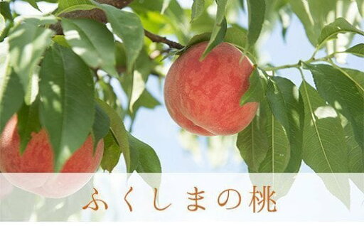 【ふるさと納税】No.2243もも「あかつき」約3kg【2025年発送】 【ふるさと納税】No.2243もも「あかつき」約3kg【2025年発送】