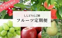 5位! 口コミ数「0件」評価「0」No.2248ししどりんご園 大満足フルーツ7回定期便【2024年発送】