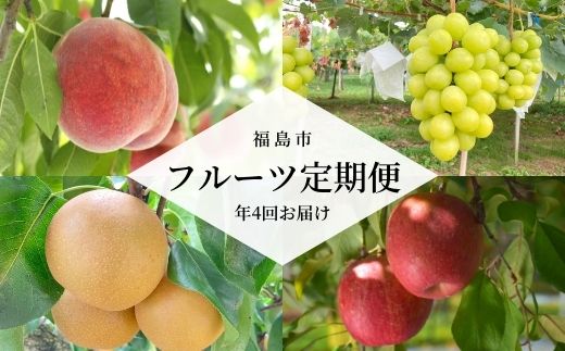 No.2261あかつきから始まるフルーツ4品定期便[2024年発送]