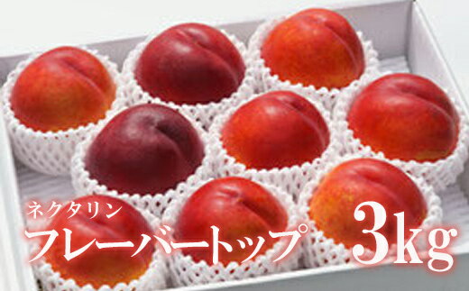 【ふるさと納税】No.2316ネクタリン「フレーバートップ」 約3kg【2025年発送 先行予約】