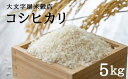 2位! 口コミ数「0件」評価「0」No.2382大文字屋米穀店【令和5年産】コシヒカリ 5kg 精米