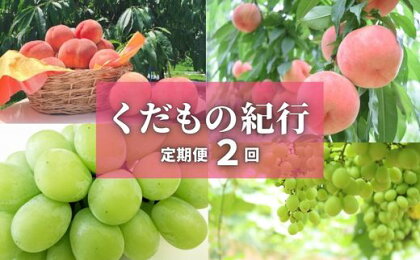 No.2452株式会社円和 青果部【全2回】くだもの紀行定期便【2024年発送】