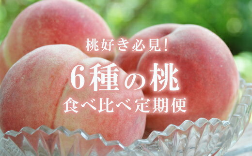 【ふるさと納税】No.2464 福島市の桃が大集合！！桃6種