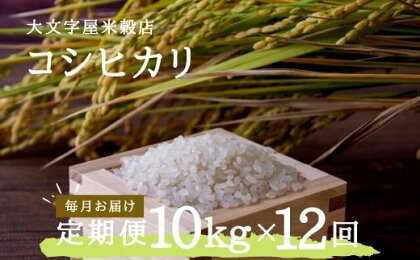 No.2497大文字屋米穀店【定期便12回】コシヒカリ 10kg（5kg×2）精米 （毎月お届け）