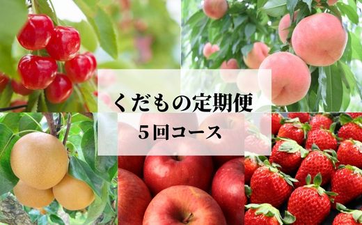 【ふるさと納税】No.2512JAふくしま未来　くだもの定期便【Bコース/全5回】【2024年発送】