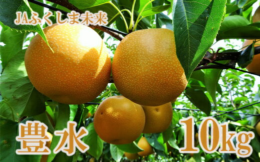 【ふるさと納税】No.2519 なし 特秀「豊水」約10kg【2025年発送】