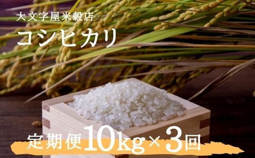 No.1497大文字屋米穀店【定期便3回】コシヒカリ 10kg（5kg×2）精米 （3か月連続お届け）